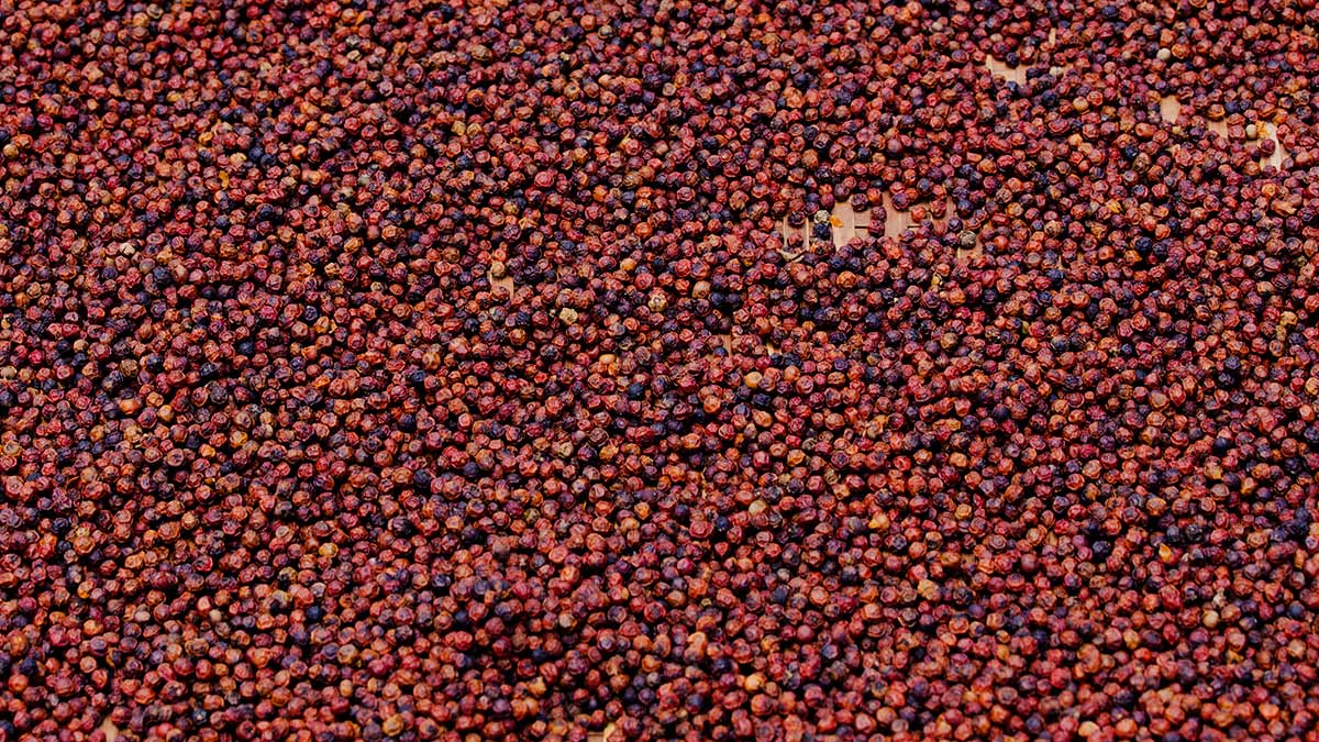 Kampot Pepper: Discovering Cambodia's Treasured Spice - Cambodia Begins ...